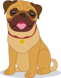 pug dog sitting on all fours clipart