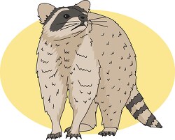 raccoon mammal with ringed tail clipart