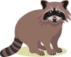 raccoon ringed furry tail clipart