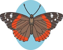 Red Admiral Butterfly Clipart