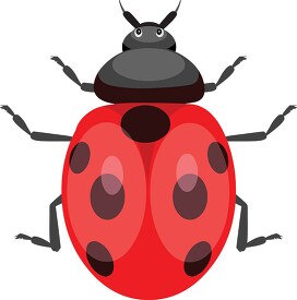 red black ladybug clipart 718