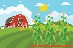 red farm house with growing corn clipart