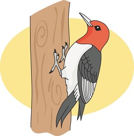 red headed_woodpecker