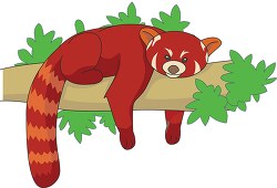 Red Panda on Tree Clipart