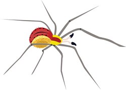 red yellow spider vector clipart