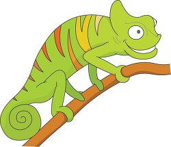 reptile chameleon on tree branch vector clipart