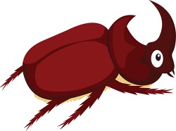 rhinoceros beetle insect clipart