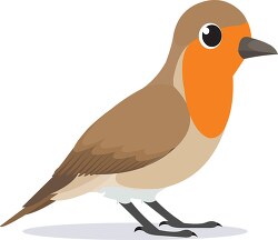robin bird clipart