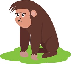 sad looking gorilla clipart