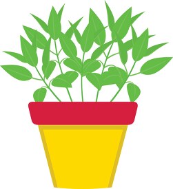 sage growing in planter herb clipart 318