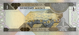 saudi arabia banknote 217