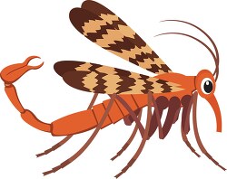 scorpion fly insect clipart