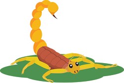 scorpion insect clipart
