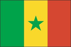 Senegal flag flat design clipart