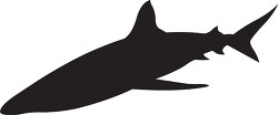 shark sillouette cutout clipart