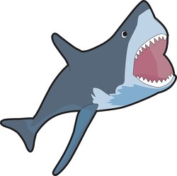 shark with mouth open clipart