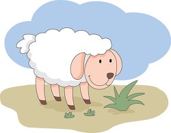 sheep in farm 3