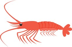 shrimp marine animal clipart 818