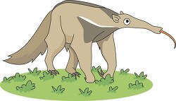 side view anteater with tongue out on grass clipart