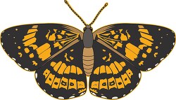 Silver Checkerspot Butterfly Clipart