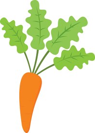 single carrot vegetable clipart 516