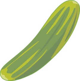 single cucumber clipart