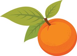 single orange with leaf and stem clipart