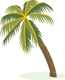 single palm tree clipart