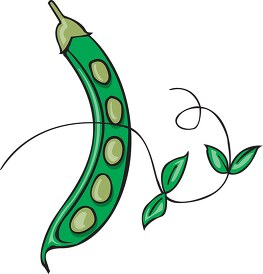 single pea pod with leaf clipart