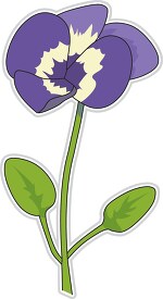 single purple pansy flower clipart