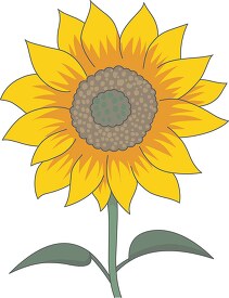 single sun flower clipart