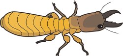 single termite clipart