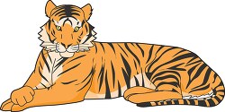 sitting bangal tiger clipart