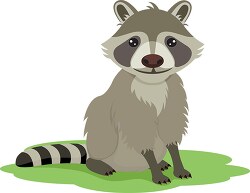 sitting raccoon clipart