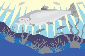 slamon-fish-under-water-scene gray color