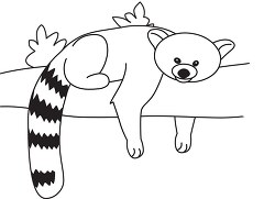 sleeping red panda black outline clipart