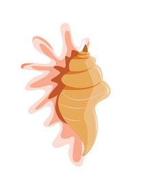 small conch seashell on white background clipart