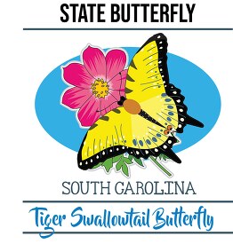 south carolina state butterfly tiger swallowtail butterfly vecto