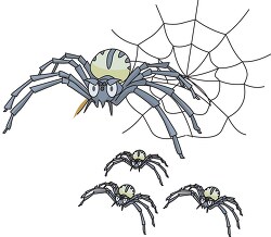 spider web baby spiders clipart