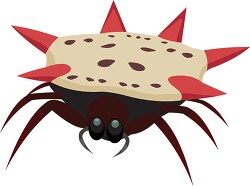 spinybacked spider insect clipart
