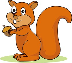 squirrel cartoon style with acorn clipart