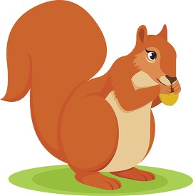 squirrel eating clipart 614