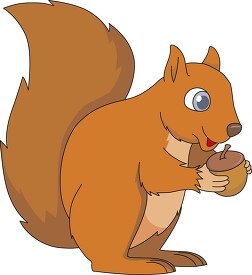 squirrel holding acorn nut 914