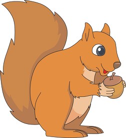 squirrel holding acorn nut 914