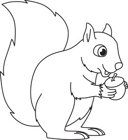 squirrel holding acorn nut black white outline clipart