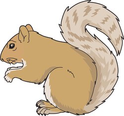 squirrel large tail clipart