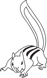 squirrel with strips on tail black outline clipart