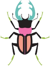 stag beetle insect gray color clipart