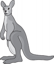 standing kangaroo 212 1 gray