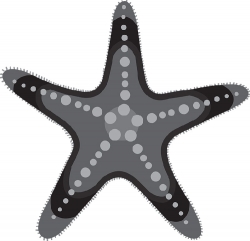 starfish marine animal gray clipart